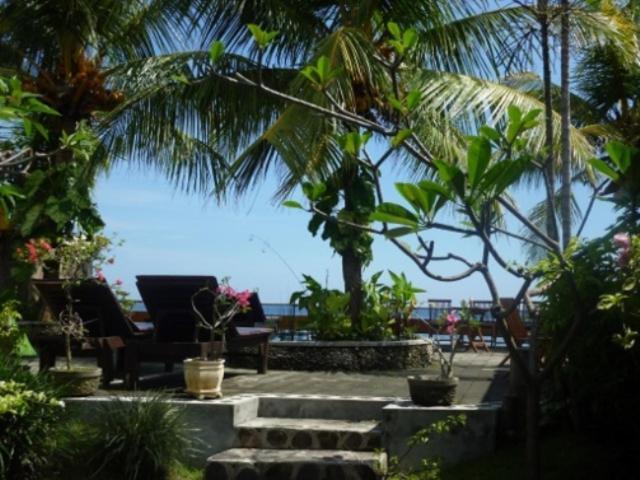 Mandhara Chico Bungalow Lovina  Exterior photo